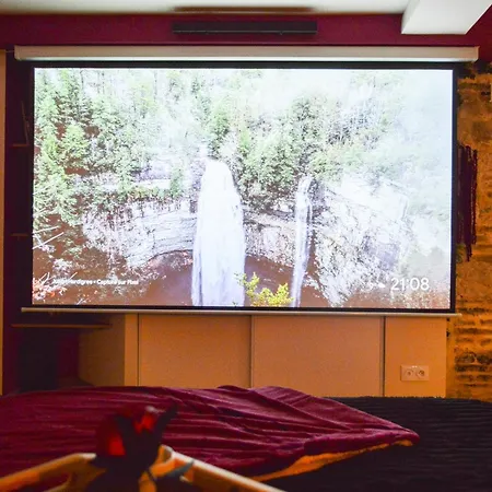 Lejlighed Le Charles Baltet - Spa, Cinema, Luxe, Prox Hypercentre - Classe 4 Etoiles Troyes
