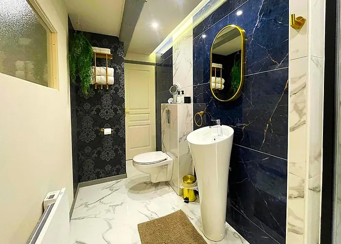 Le Charles Baltet - Spa, Cinema, Luxe, Prox Hypercentre - Classe 4 Etoiles * Troyes