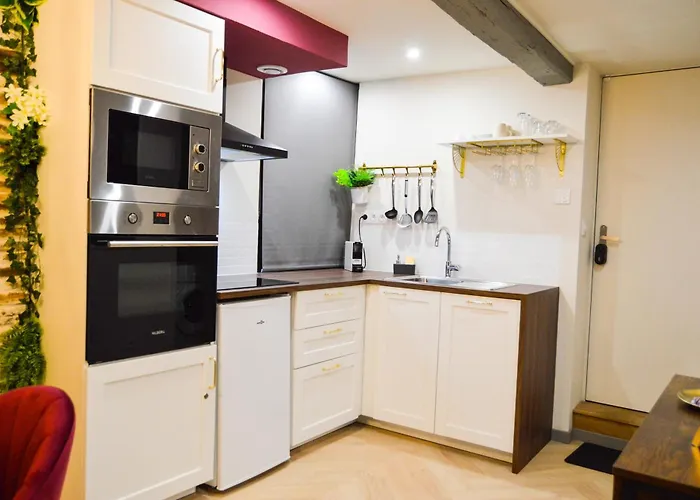 Appartement Le Charles Baltet - Spa, Cinema, Luxe, Prox Hypercentre - Classe 4 Etoiles Troyes