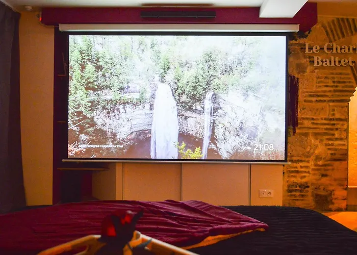 Appartement Le Charles Baltet - Spa, Cinema, Luxe, Prox Hypercentre - Classe 4 Etoiles Troyes